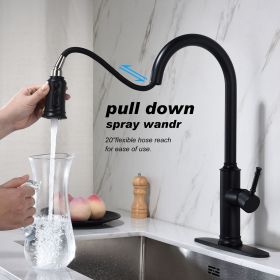 Kitchen Faucet with Pull Out Spraye (Color: as pic)